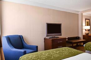 Comfort Suites Downtown Carlisle