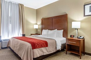 Comfort Inn Blythewood - North Columbia