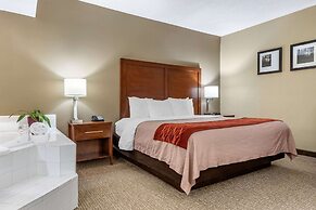 Comfort Inn Blythewood - North Columbia