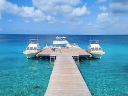 Divi Flamingo Beach Resort & Casino