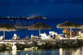 Divi Flamingo Beach Resort & Casino