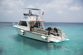 Divi Flamingo Beach Resort & Casino