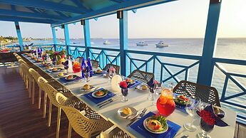 Divi Flamingo Beach Resort & Casino