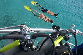 Divi Flamingo Beach Resort & Casino