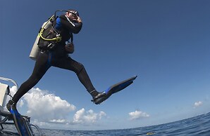 Divi Flamingo Beach Resort & Casino