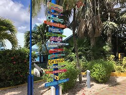 Divi Flamingo Beach Resort & Casino