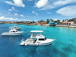 Divi Flamingo Beach Resort & Casino