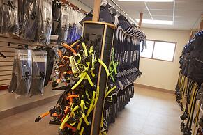 Divi Flamingo Beach Resort & Casino