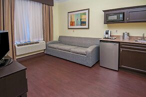 Holiday Inn Express & Suites Houston North Intercontinental by IHG