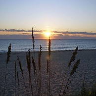 Sabal Palm House Bed & Breakfast