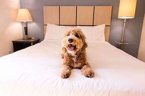 Sonesta Simply Suites Chicago O'Hare Airport