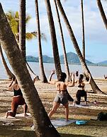 Alamanda Palm Cove by Lancemore