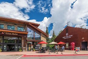 Mountain Lodge Telluride