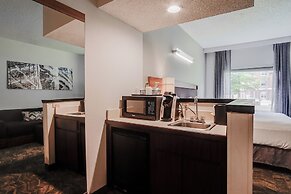 Country Inn & Suites by Radisson, Savannah Southside
