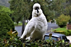 Grand Country Lodge Motel
