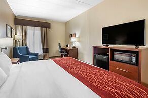 Comfort Inn Lexington I-75