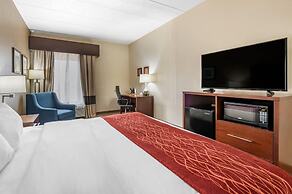 Comfort Inn Lexington I-75