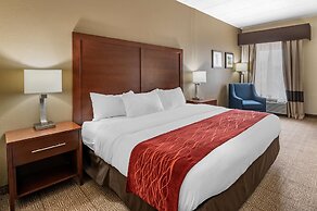 Comfort Inn Lexington I-75