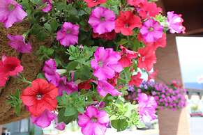 Comfort Inn Butte City Center I-15 / I-90