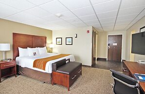 Comfort Inn Butte City Center I-15 / I-90