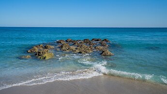 Holiday Inn & Suites Boca Raton - North by IHG