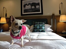 Hidden Valley Inn