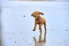 The Relais Cooden Beach