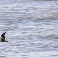 The Relais Cooden Beach