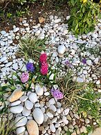 Quality Inn & Suites Hendersonville - Flat Rock