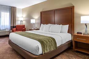 Comfort Inn Okemos - East Lansing