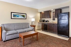 Comfort Inn Okemos - East Lansing