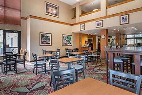 Comfort Inn Okemos - East Lansing