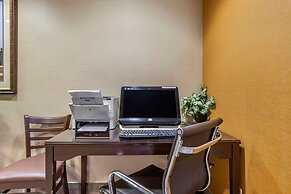 Comfort Inn Okemos - East Lansing