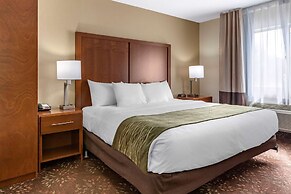Comfort Inn Okemos - East Lansing