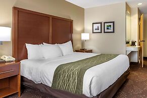 Comfort Inn Okemos - East Lansing