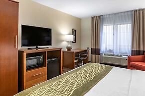 Comfort Inn Okemos - East Lansing