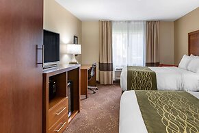 Comfort Inn Okemos - East Lansing