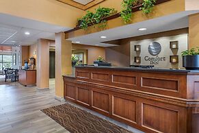 Comfort Inn Okemos - East Lansing