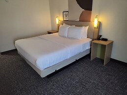 Spark by Hilton Stevensville