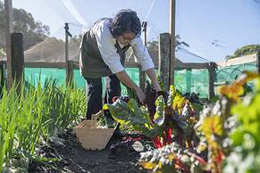Wharekauhau Luxury Country Estate