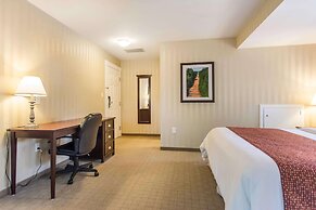 Quality Inn & Suites Downtown