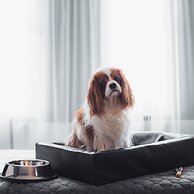 Clarion Hotel Grand Östersund