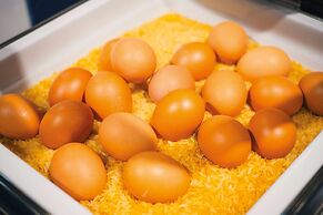 Vienna House Easy by Wyndham Leipzig