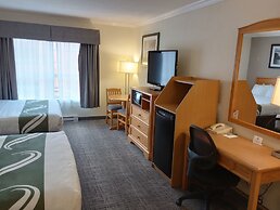 Quality Inn Downtown Inner Harbour