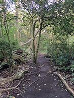 Hotel de Montana Monteverde