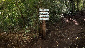 Hotel de Montana Monteverde