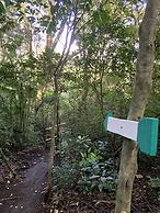 Hotel de Montana Monteverde