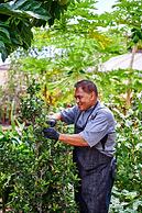 The Westin Hapuna Beach Resort