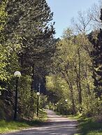 Deadwood Gulch Resort, Trademark Collection by Wyndham