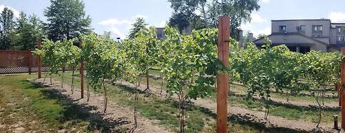 Heritage Hotel, Golf, Spa & Conference Center, BW Premier Collection